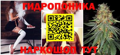 спайс Можга