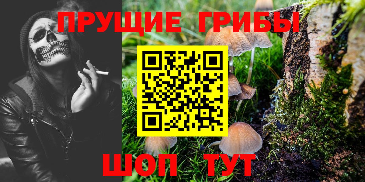 Галлюциногенные грибы Cubensis  купить   Владикавказ  Вход с VPN  Галлюциногенные грибы Cubensis 