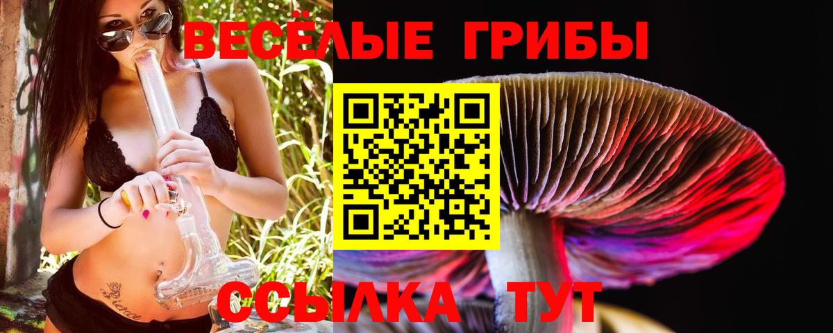 Псилоцибиновые грибы мухоморы Владикавказ