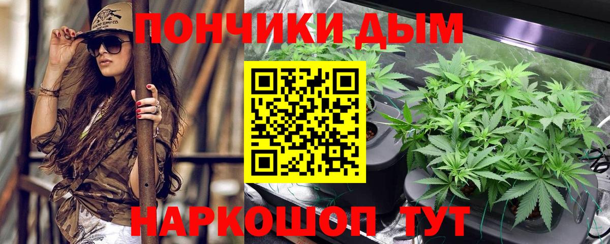 МАРИХУАНА конопля Владикавказ